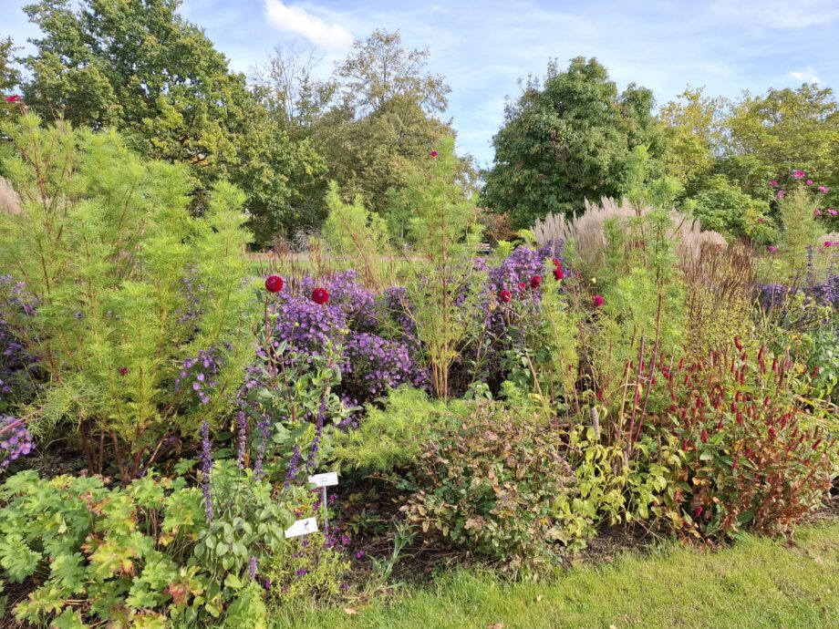 Britzer Garten, Berlin, 2024