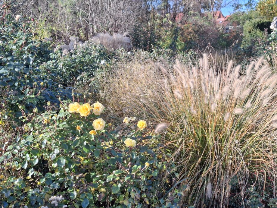 Garten Boden vorbereiten